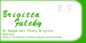 brigitta fuleky business card
